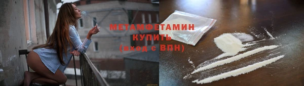 сатива Гусев