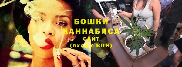 apvp Горняк